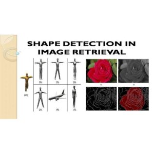 Shape-Based Feature Extraction for Content-Based Image Retrieval