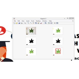 Neuro-Fuzzy based Color Object Segmentation in Images