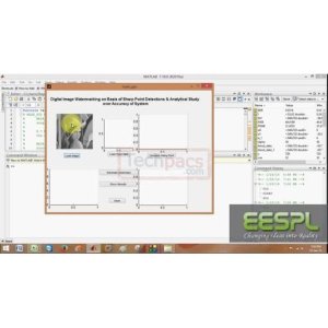 Efficient Image Watermarking with Sharp Point Detection