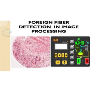Foreign Fiber Detection in Cotton using HSI Approach