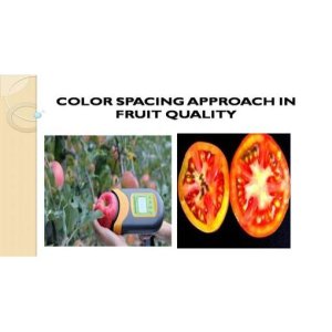Diseased Fruit Classification using LBP and LAB Color Space Approach