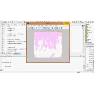 Diseased Fruit Classification using LBP and LAB Color Space Approach