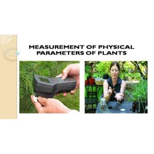Plant Physical Parameter Calculation using Digital Image Processing (DIP)