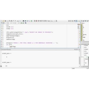 Plant Physical Parameter Calculation using Digital Image Processing (DIP)