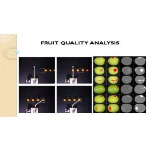 Color Histogram Analysis for Fruit Quality Detection