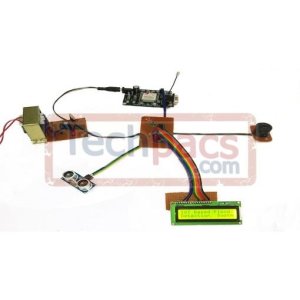 IoT-Based Centralized Remote Sensing for Early Flood Detection and Disaster Management