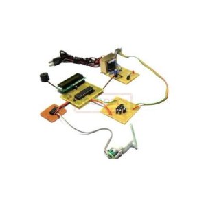 ColorSpectra: An Image Processing-Based Product Quality Analyzer for Automated Sorting