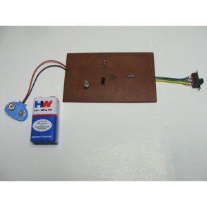 In-depth Analysis and Implementation of the NOT Gate: A Transistor-Based Approach