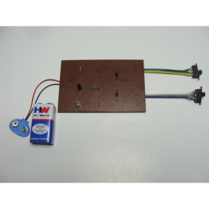 Comprehensive Study and Implementation of the NOR Gate: A Diode and Transistor-Based Approach
