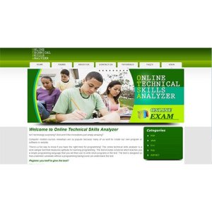 Online Technical Skill Analyzer: Adaptive Learning and Skill Assessment for Emerging Programmers