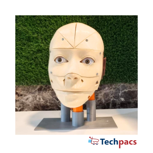 ESP32-Powered Robot for AI-Based Face Mirroring and Digital Twin Creation