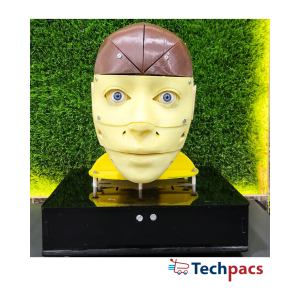 IoT-Based Humanoid AI Face for Advanced Interactive Applications