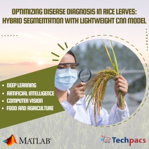 Optimizing Rice Leaf Disease Diagnosis: Enhanced Image Processing and Lightweight CNN Model
