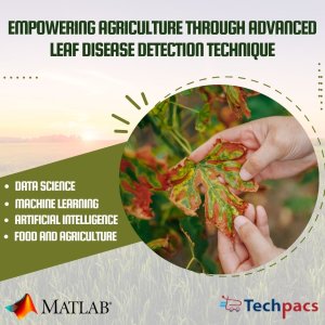 Advanced Leaf Disease Detection using Kmean and KNN Algorithm