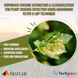 Improved Plant Disease Detection using Kuwahara Filter and LBP Feature Extraction