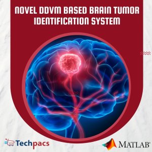 DDVM: Innovative Brain Tumour Identification with Advanced Image Enhancement and Dual Decision Voting Mechanism