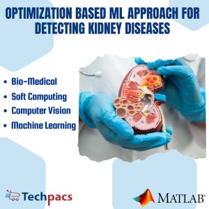 Efficient Kidney Image Analysis: Enhanced Contrast and Classification via BBHE, GLCM, and CSA-Optimized ANN