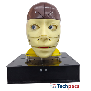 AI-Powered 3D Printed Humanoid Chatbot Using ESP-32